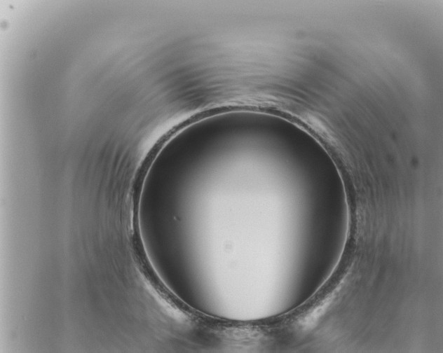 X0000088600838200706011200