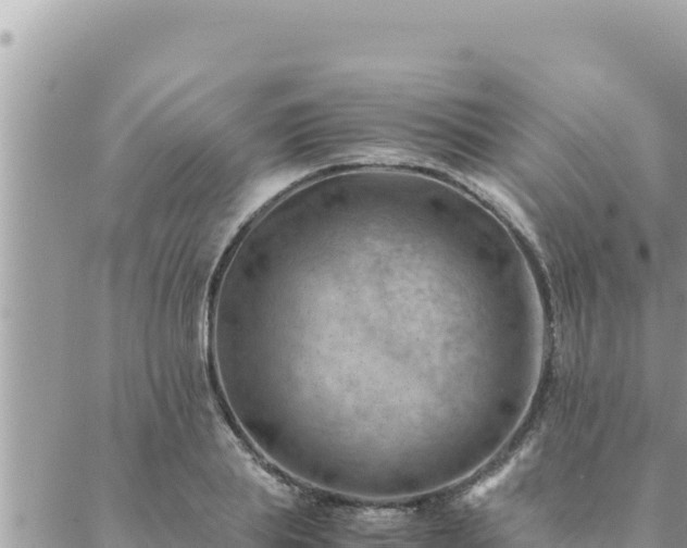 X0000088600839200706011200