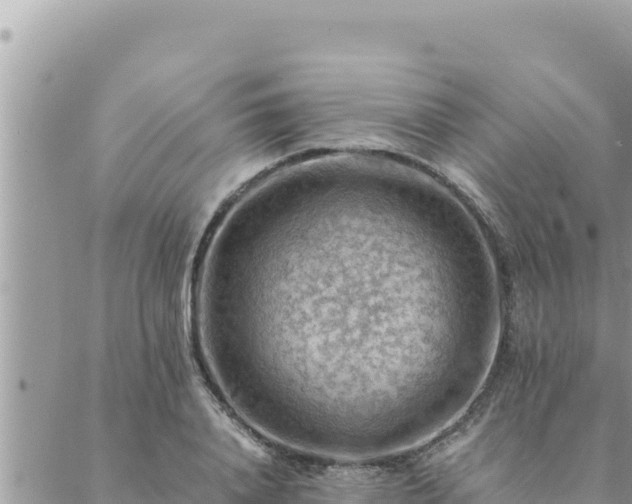 X0000088600840200706011200