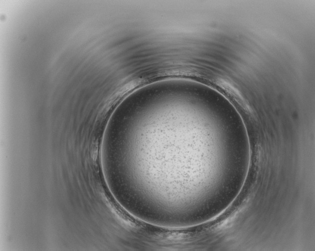 X0000088600841200706011200