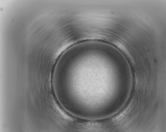 X0000088600842200706011200