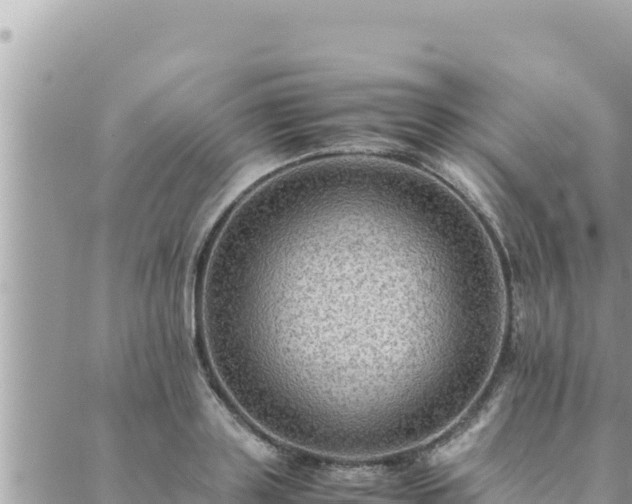 X0000088600843200706011201