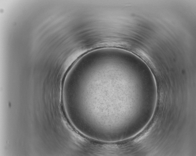 X0000088600844200706011201