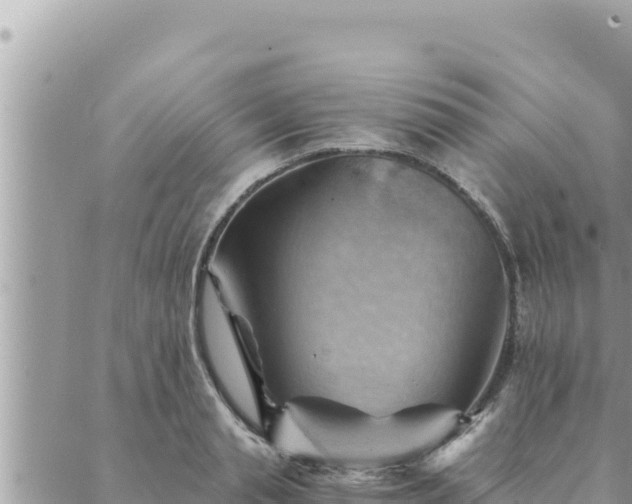 X0000088600845200706011201