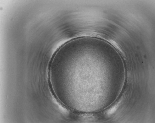 X0000088600846200706011201