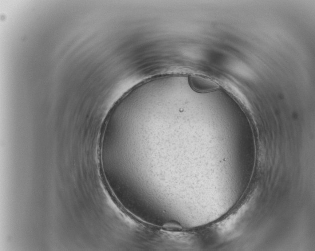 X0000088600847200706011201