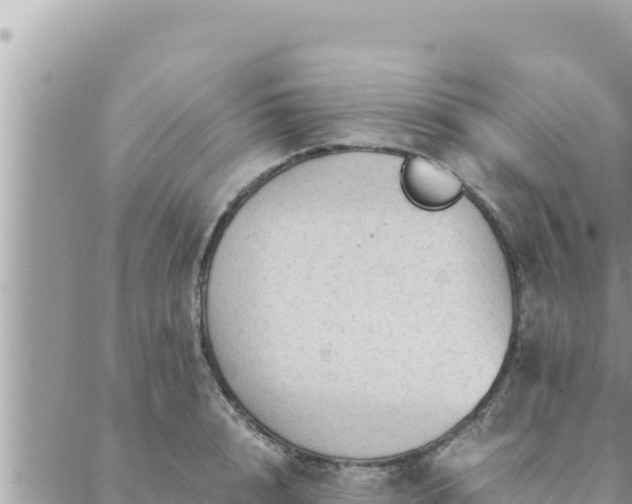 X0000088600848200706011201