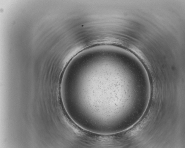 X0000088600850200706011201