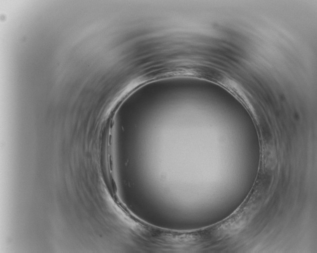 X0000088600851200706011201