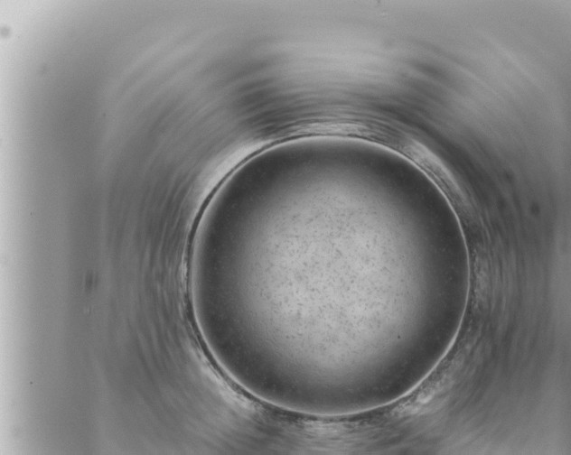 X0000088600852200706011201