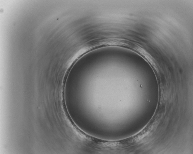 X0000088600853200706011201