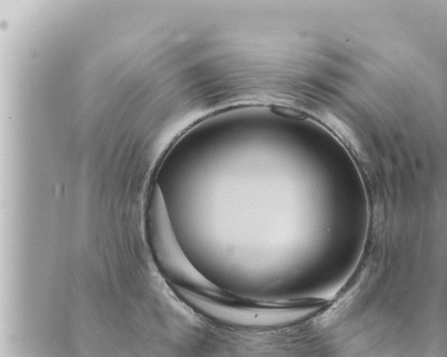 X0000088600854200706011201