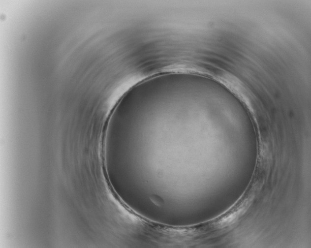 X0000088600855200706011201