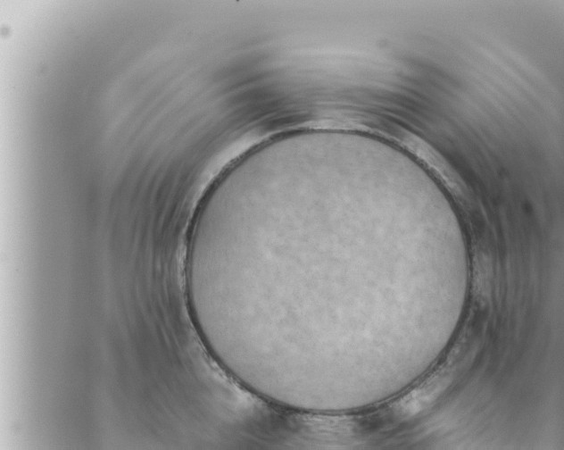 X0000088600856200706011201