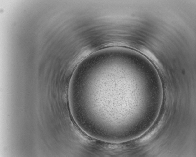 X0000088600857200706011201