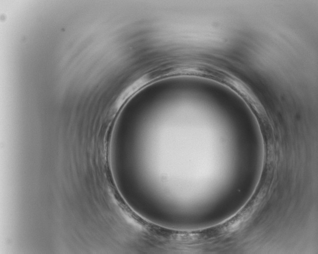 X0000088600858200706011201