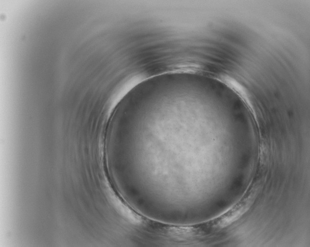 X0000088600859200706011201