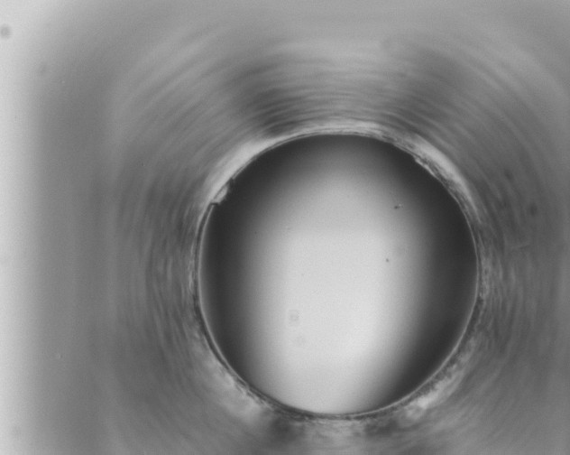 X0000088600860200706011201