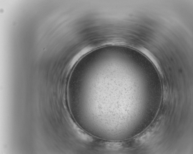 X0000088600861200706011201