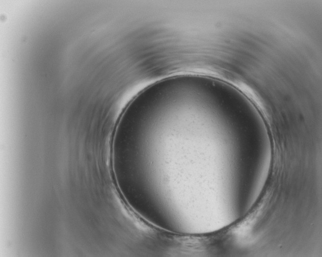 X0000088600862200706011201