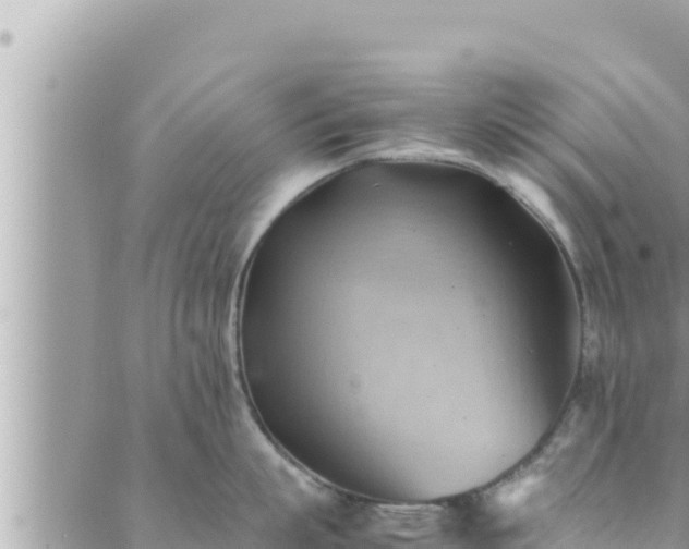 X0000088600863200706011201