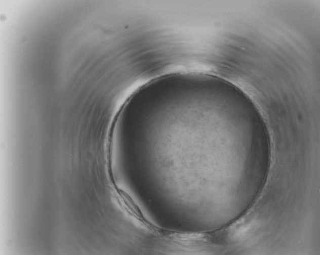 X0000088600864200706011201