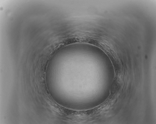 X0000088600865200706011200