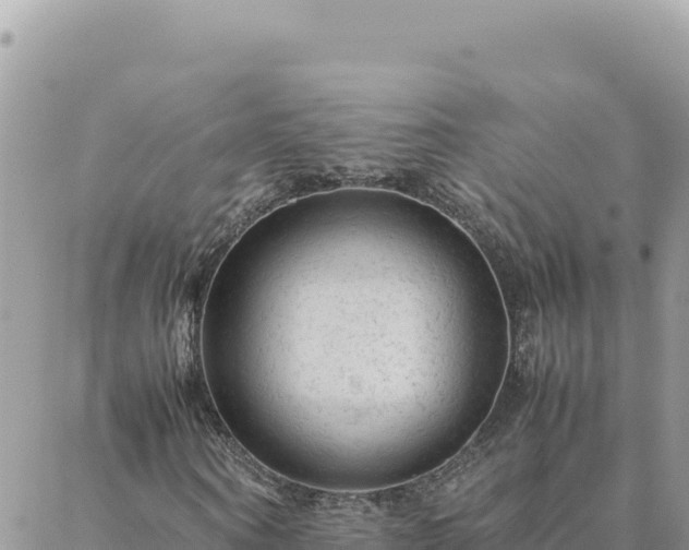 X0000088600866200706011200