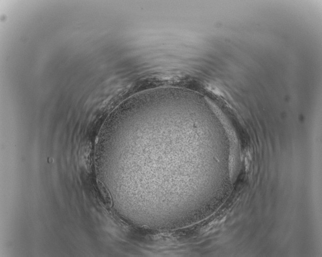 X0000088600867200706011200