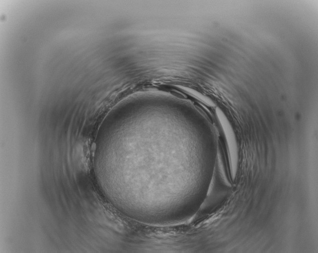 X0000088600868200706011200