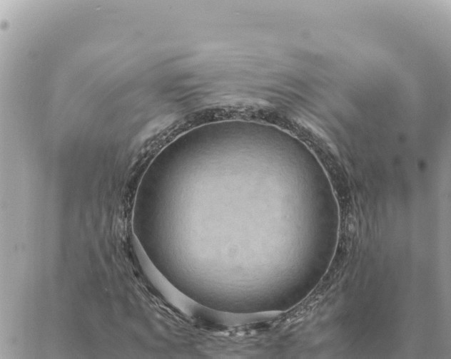 X0000088600869200706011200