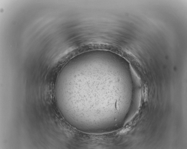 X0000088600870200706011200