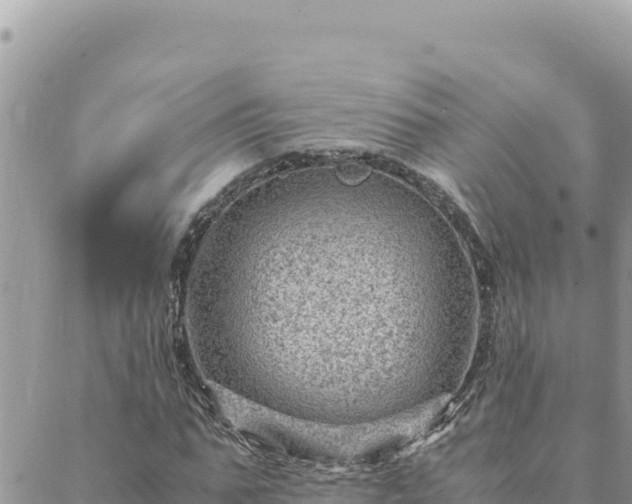 X0000088600871200706011200