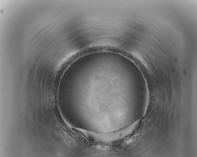 X0000088600872200706011200