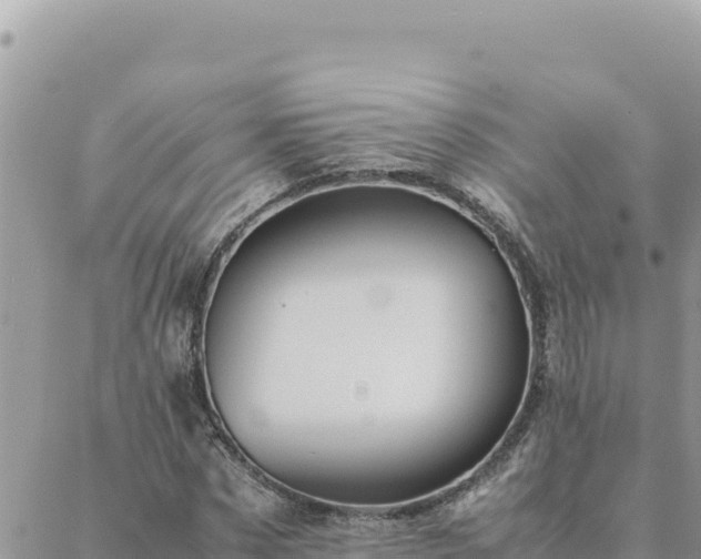 X0000088600873200706011200