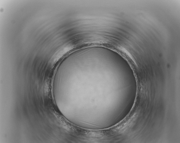 X0000088600874200706011200