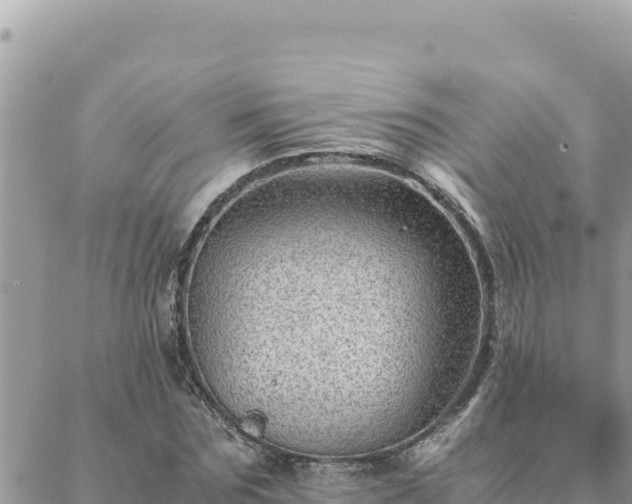 X0000088600875200706011200