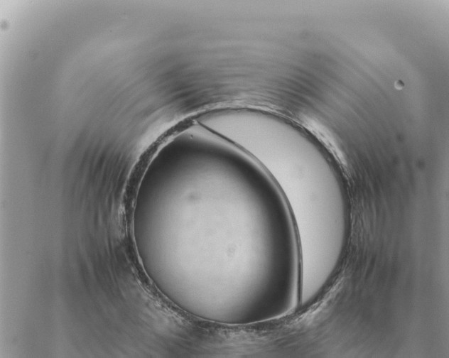 X0000088600876200706011200