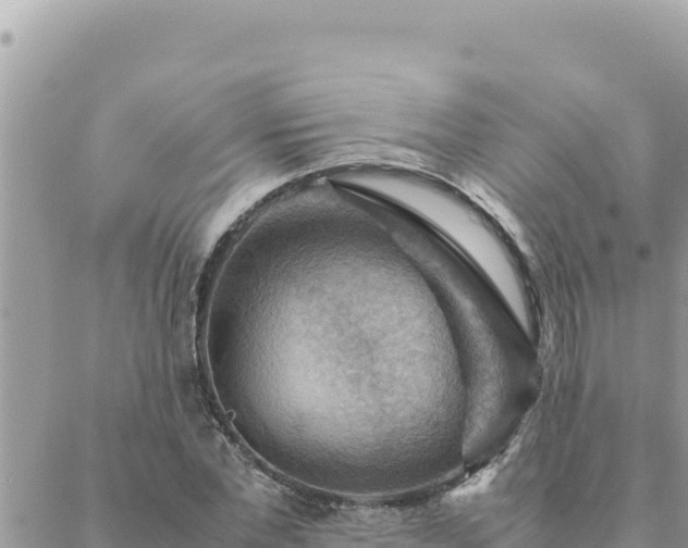 X0000088600877200706011200