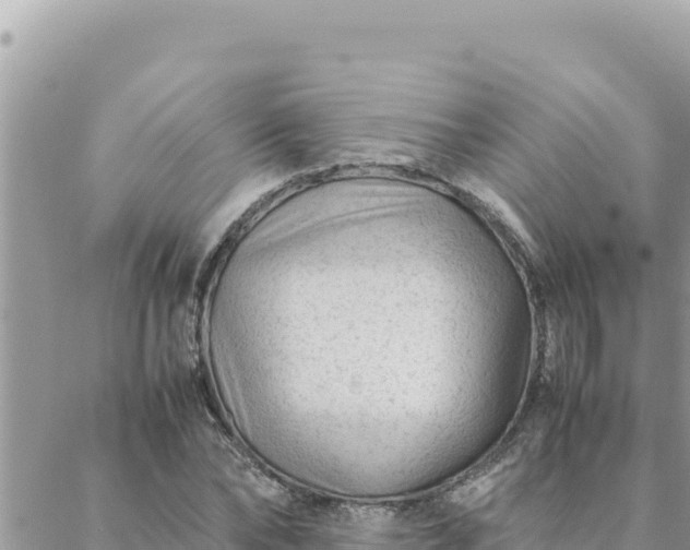 X0000088600878200706011200