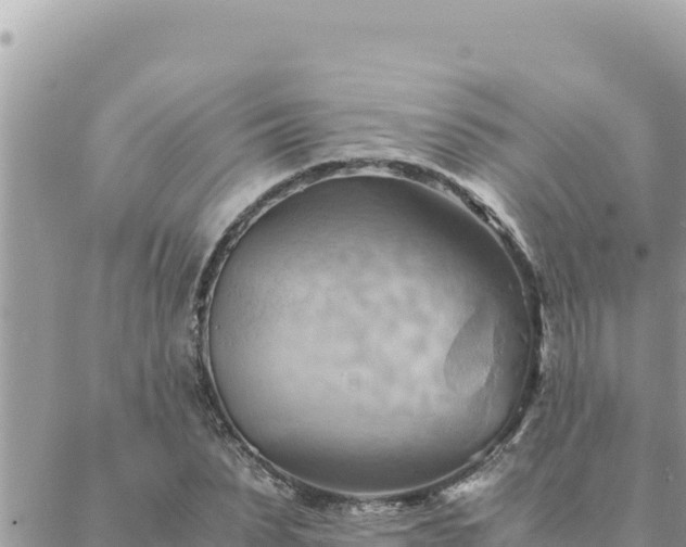 X0000088600879200706011200