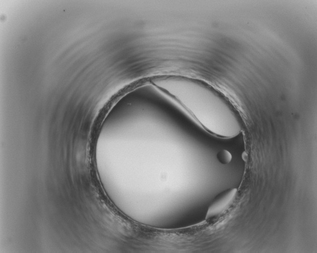 X0000088600880200706011200