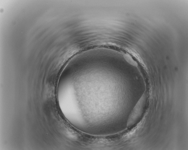 X0000088600881200706011200