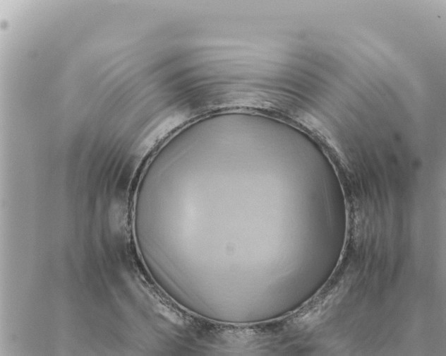 X0000088600882200706011200