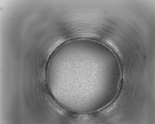 X0000088600883200706011200