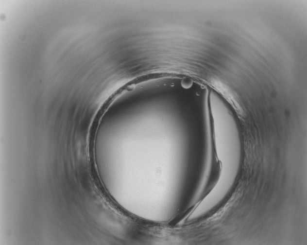 X0000088600884200706011200