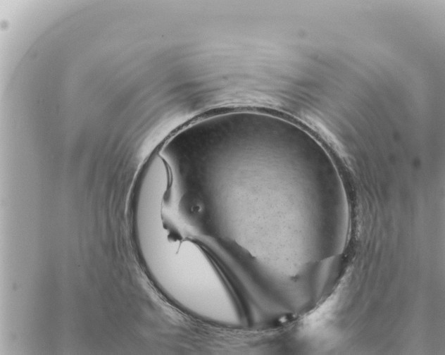 X0000088600885200706011200