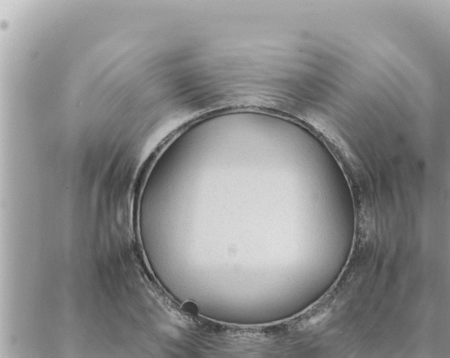 X0000088600886200706011200