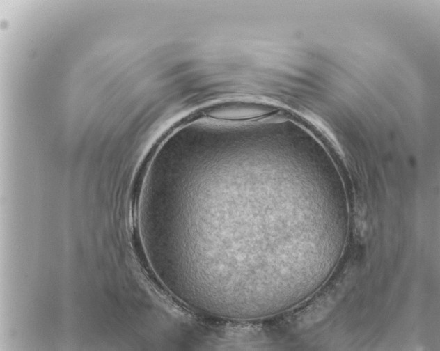 X0000088600887200706011200