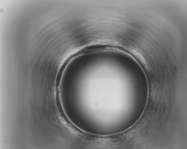 X0000088600888200706011200